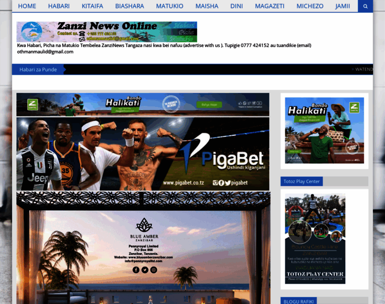 Zanzinews.com thumbnail
