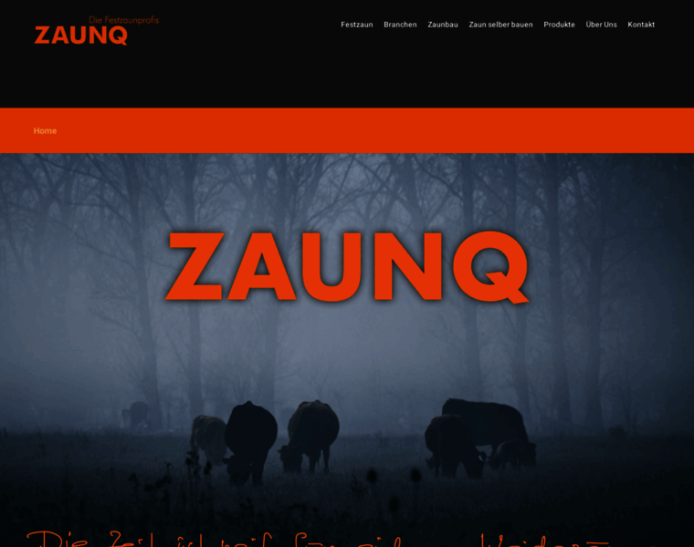 Zaunq.com thumbnail