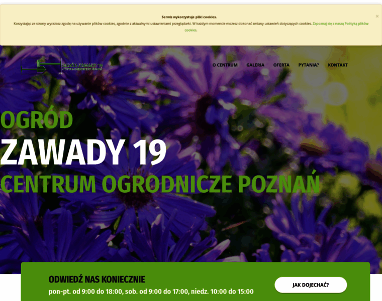 Zawady19.pl thumbnail