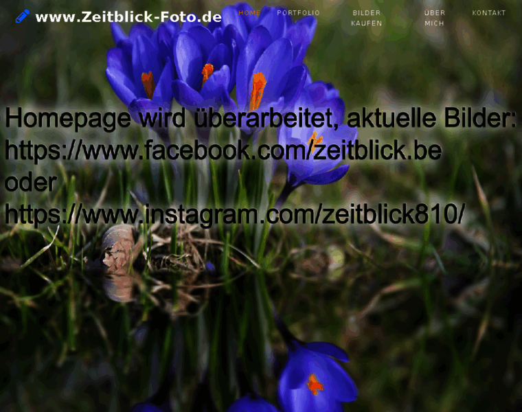 Zeitblick-foto.de thumbnail