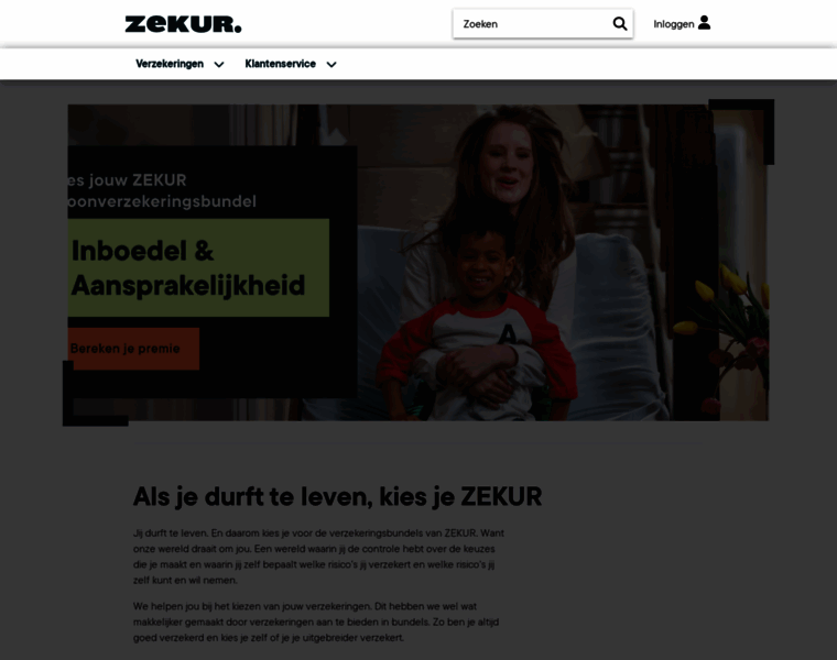 Zekur.nl thumbnail