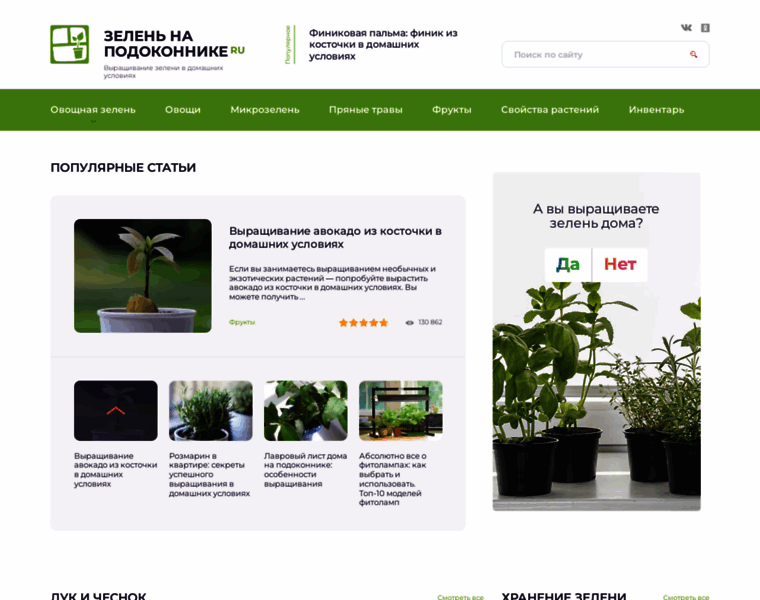 Zelen-na-podokonnike.ru thumbnail