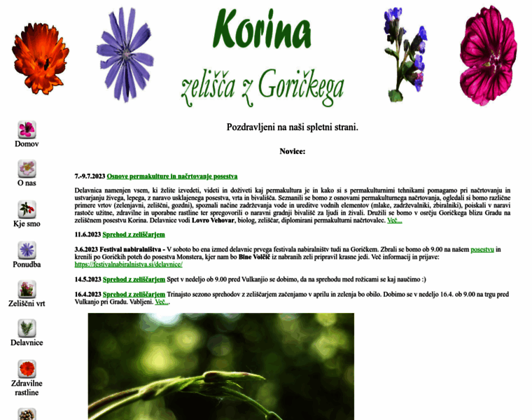 Zelisca-korina.com thumbnail