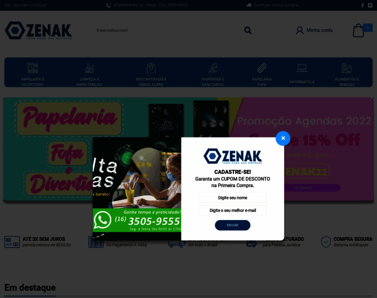 Zenak.com.br thumbnail