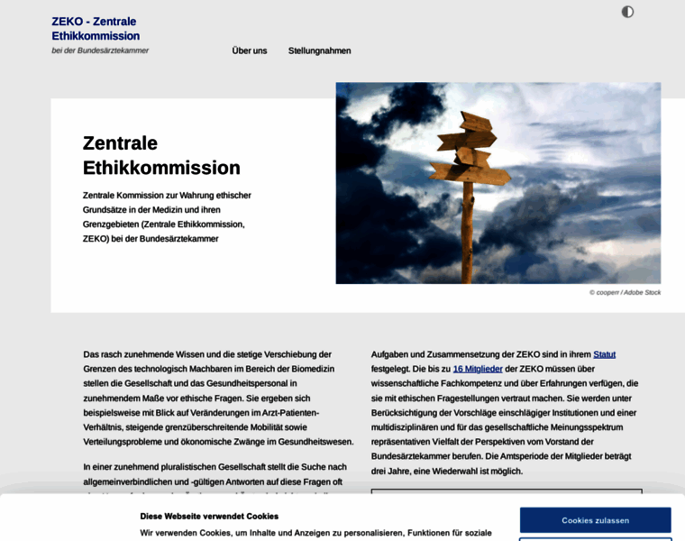 Zentrale-ethikkommission.de thumbnail
