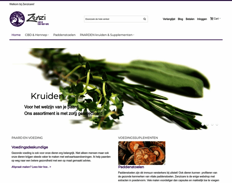 Zenzicare.nl thumbnail