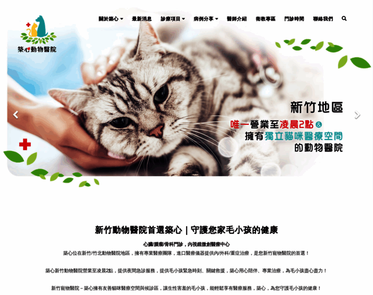 Zhuxin.com.tw thumbnail