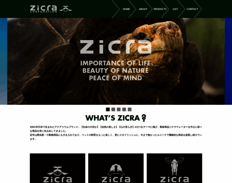 Zicra.com thumbnail