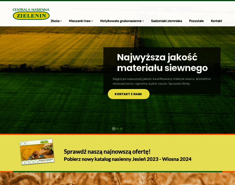 Zielenin.com thumbnail