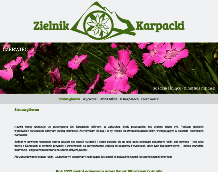 Zielnik-karpacki.pl thumbnail