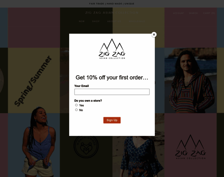 Zigzagretail.com thumbnail