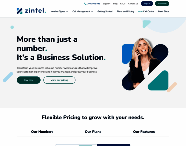 Zintel.com.au thumbnail
