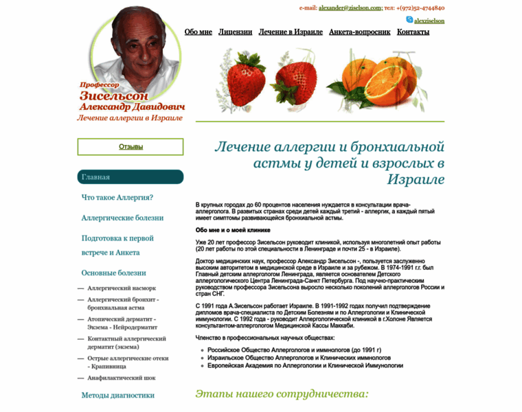 Ziselson.ru thumbnail