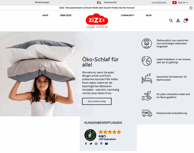 Zizzz.ch thumbnail