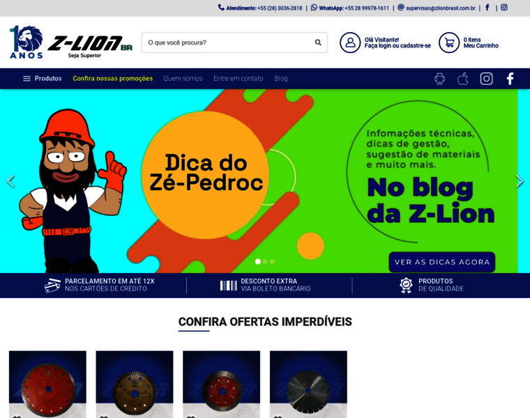 Zlionbrasil.com.br thumbnail