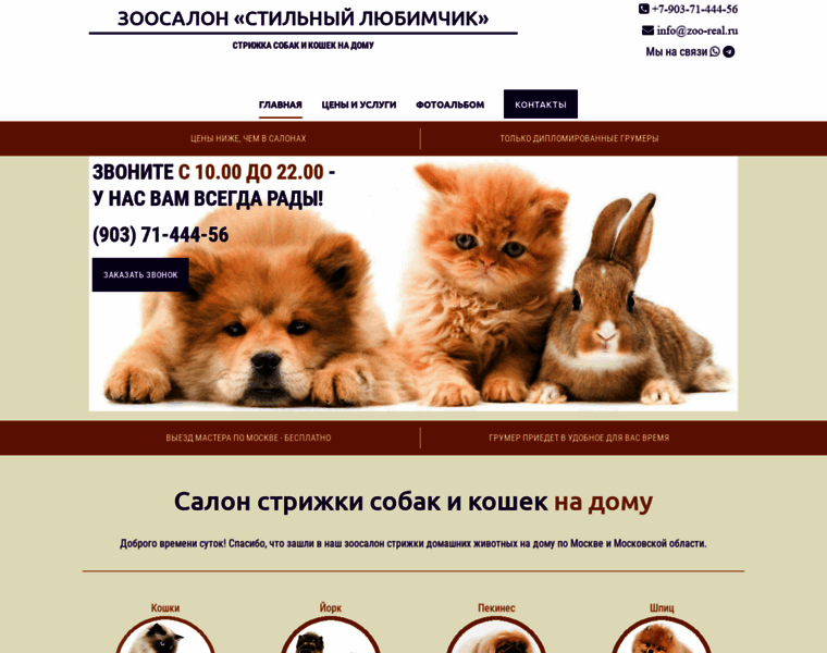 Zoo-real.ru thumbnail