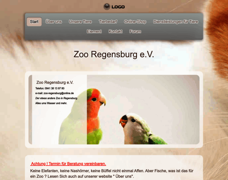 Zoo-regensburg.de thumbnail