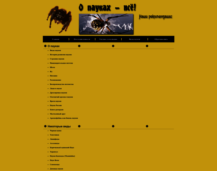 Zoo-spider.ru thumbnail