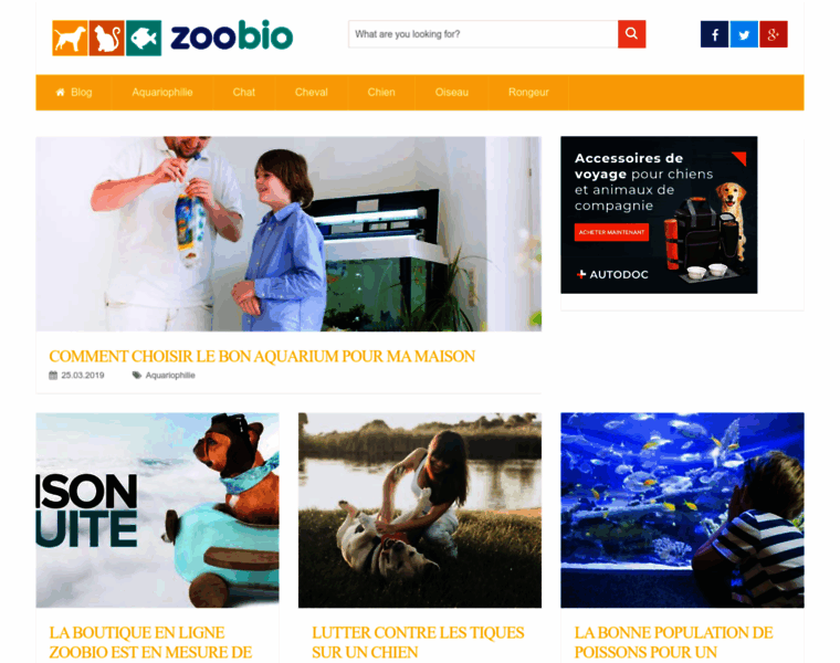 Zoobio.fr thumbnail