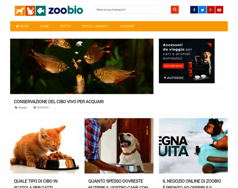 Zoobio.it thumbnail
