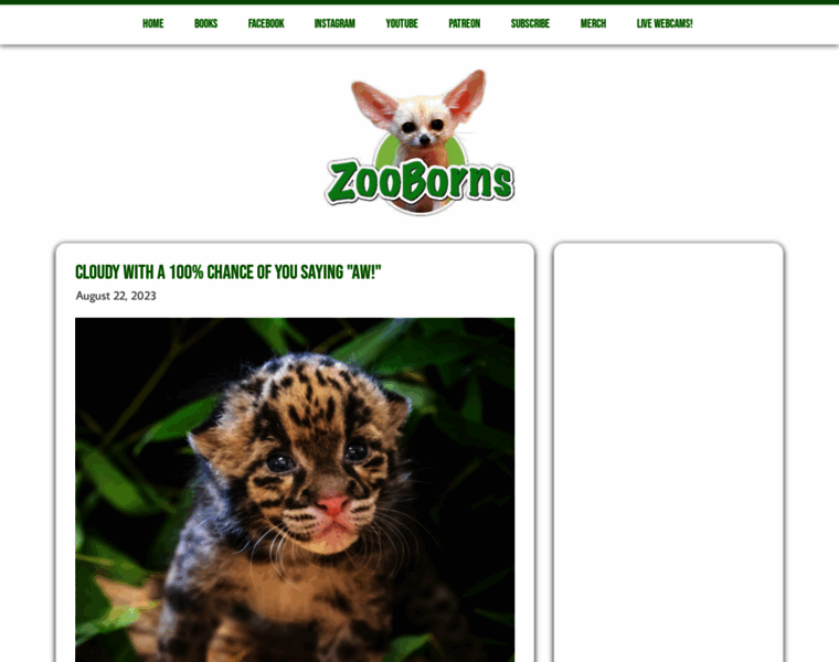 Zooborns.com thumbnail