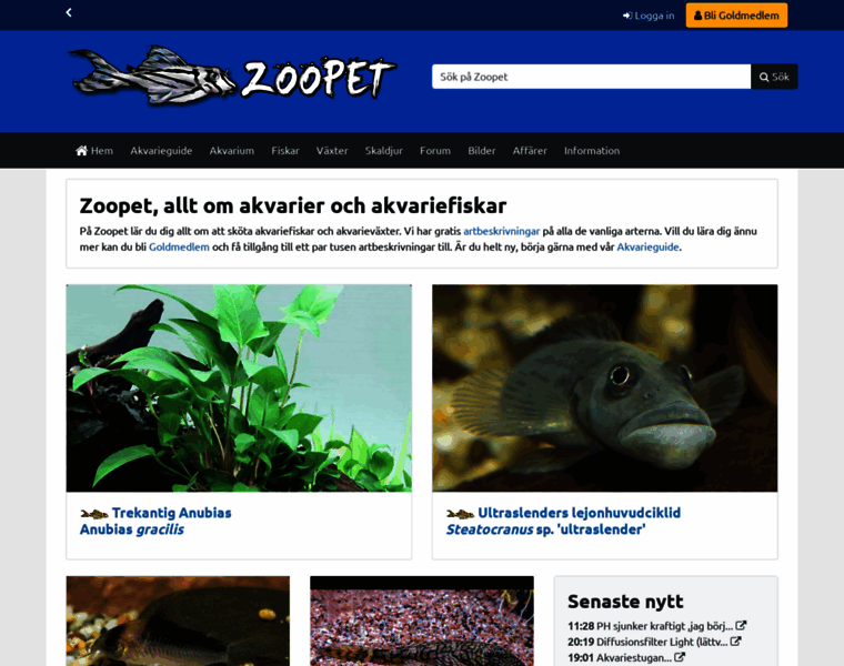 Zoopet.com thumbnail