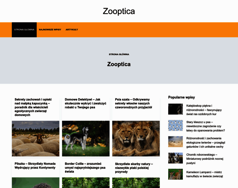 Zooptica.pl thumbnail
