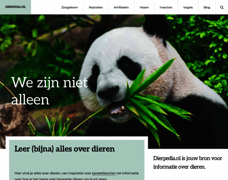 Zooster.nl thumbnail