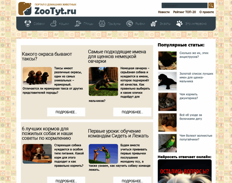 Zootyt.ru thumbnail