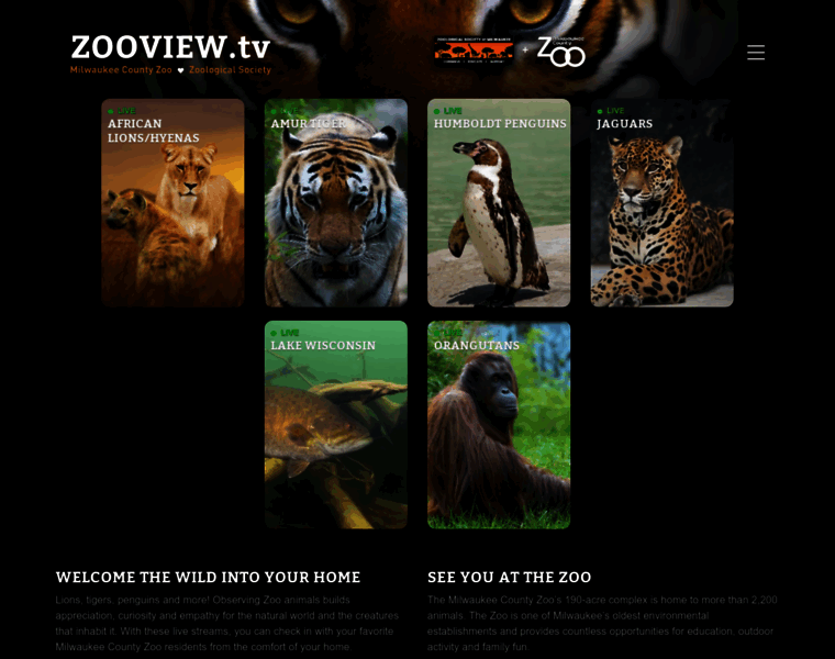 Zooview.tv thumbnail