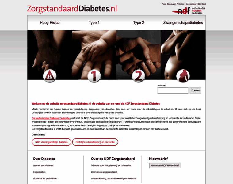 Zorgstandaarddiabetes.nl thumbnail