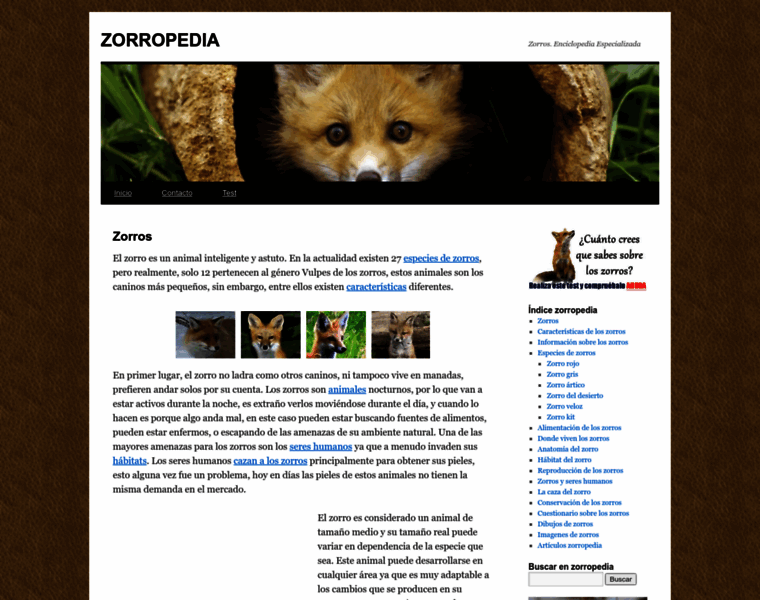 Zorropedia.com thumbnail