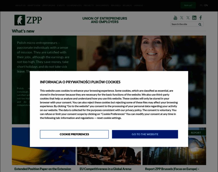 Zpp.net.pl thumbnail