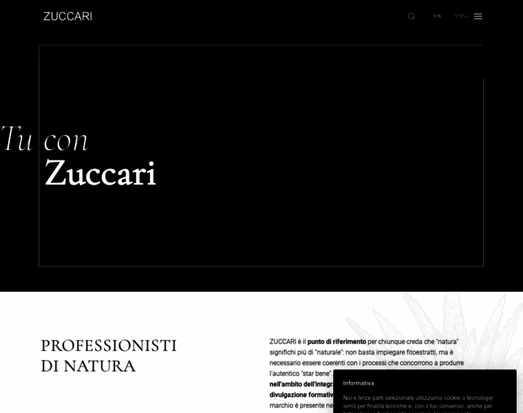 Zuccari.com thumbnail
