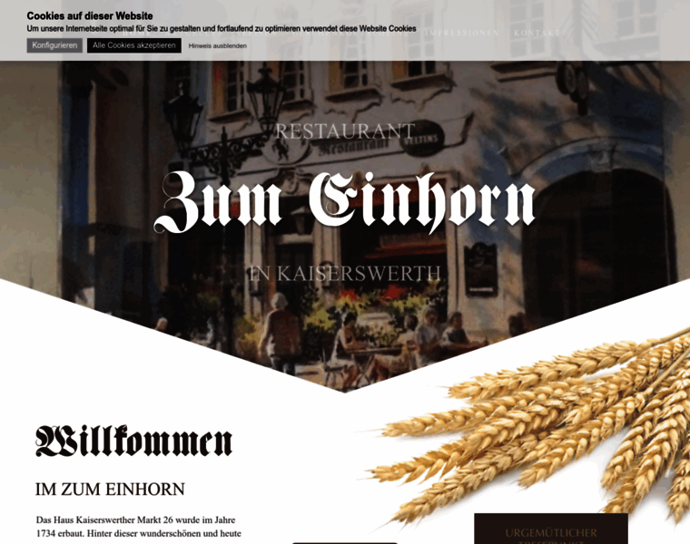Zumeinhorn-kaiserswerth.de thumbnail