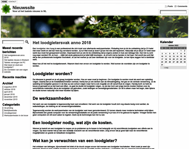 Zwaanbeemster.nl thumbnail