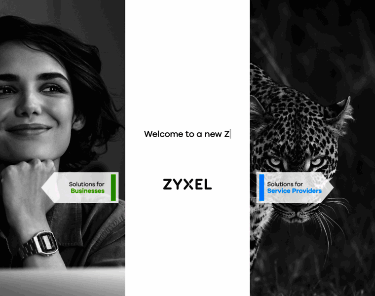 Zyxel.co.uk thumbnail