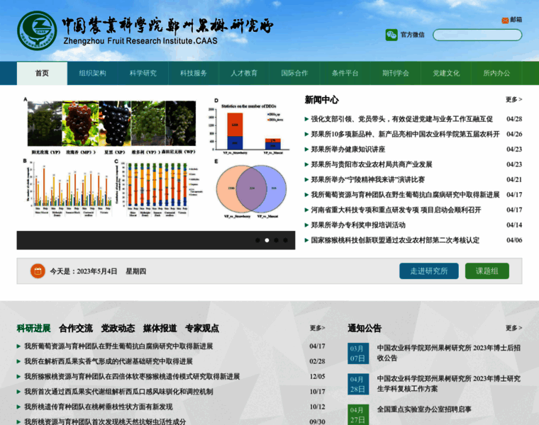 Zzgss.cn thumbnail