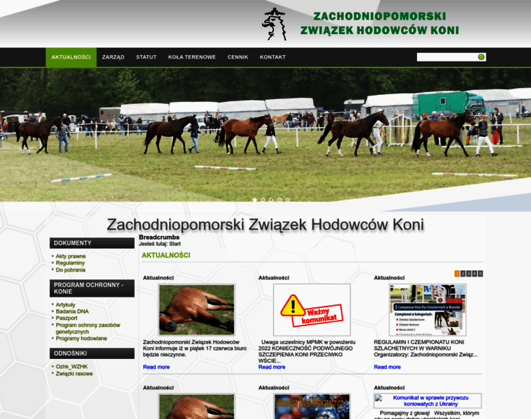 Zzhk.pl thumbnail