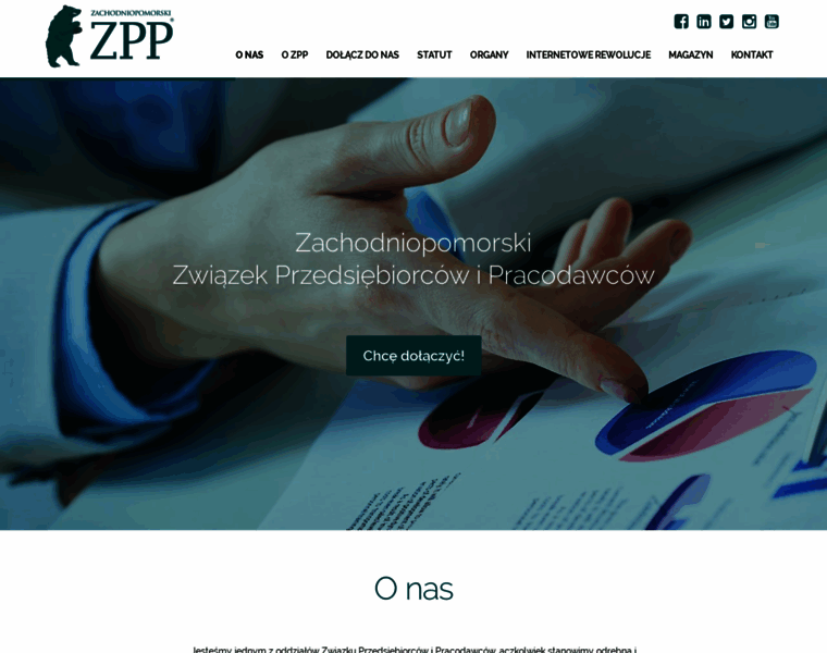 Zzpp.net.pl thumbnail