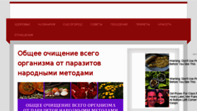 What 1001hitrost.ru website looked like in 2017 (6 years ago)