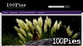 What 100pies.net website looked like in 2018 (6 years ago)