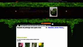 What 1jardin2plantes.info website looked like in 2019 (5 years ago)