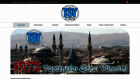 What 1972tsy.com website looked like in 2019 (4 years ago)
