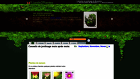 What 1jardin2plantes.info website looked like in 2020 (4 years ago)