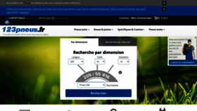 What 123pneu.fr website looked like in 2020 (3 years ago)
