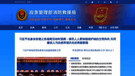 What 119.gov.cn website looked like in 2021 (3 years ago)