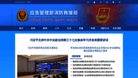 What 119.gov.cn website looked like in 2022 (2 years ago)