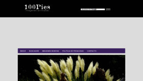 What 100pies.net website looked like in 2022 (1 year ago)