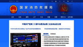 What 119.gov.cn website looked like in 2023 (1 year ago)
